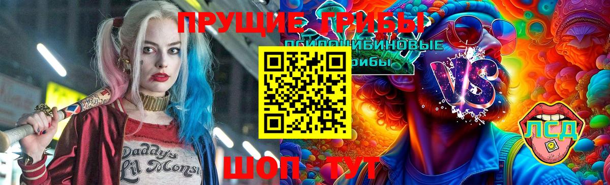 Галлюциногенные грибы прущие грибы  Псилоцибиновые грибы GOLDEN TEACHER  Ступино  Вход с VPN 
